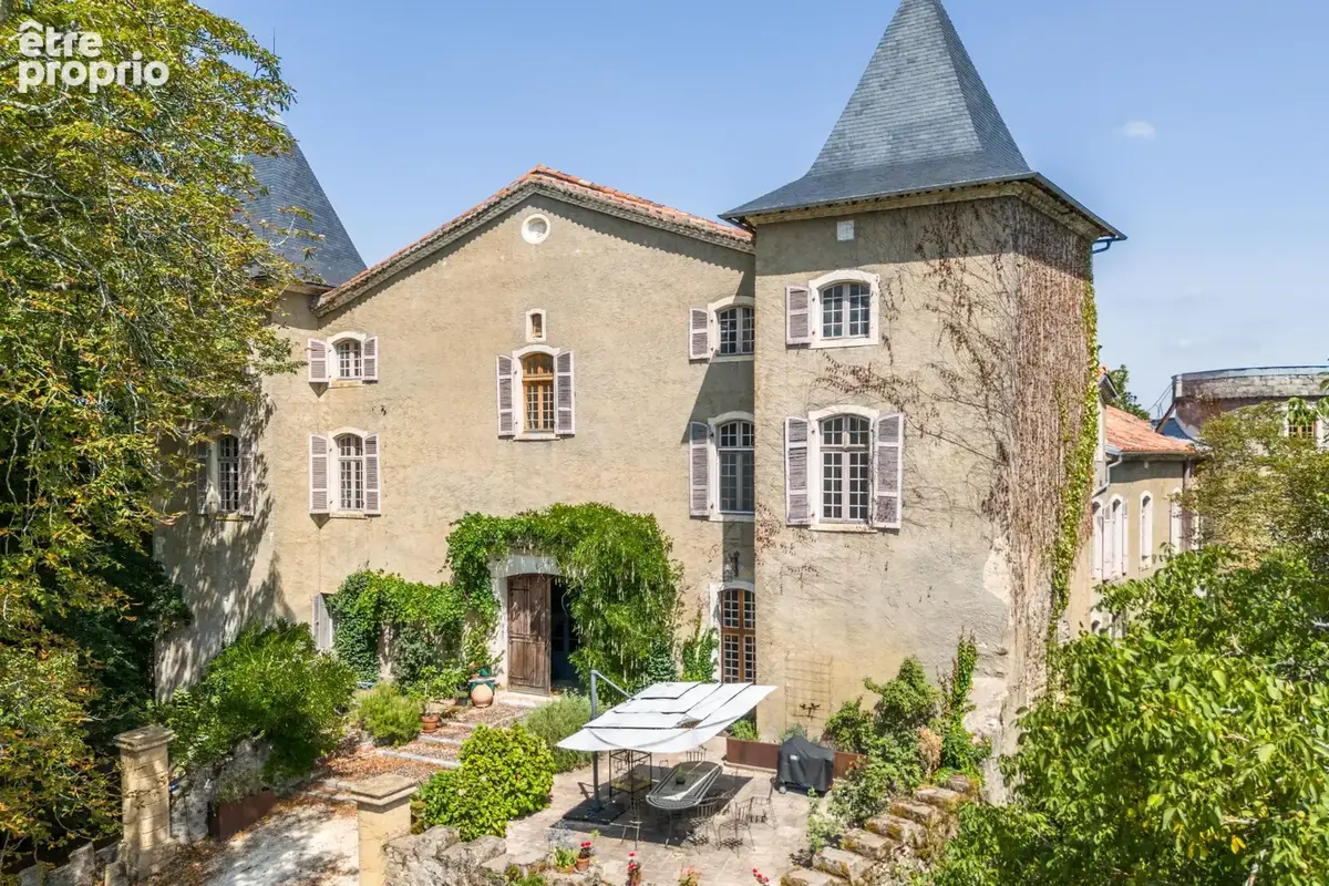 Château - Une situation magnifique et des intérieurs époustouflants - photo 41
