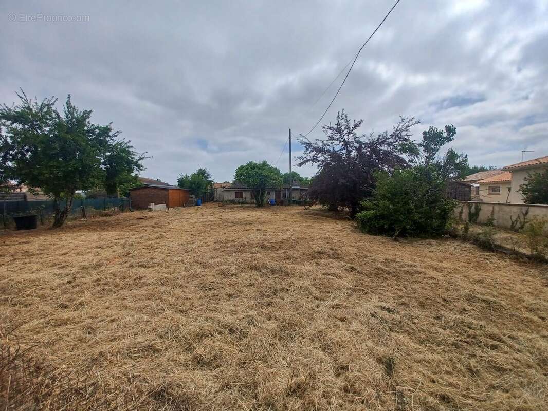 Maison 45 m² à Gaillac  - photo 2
