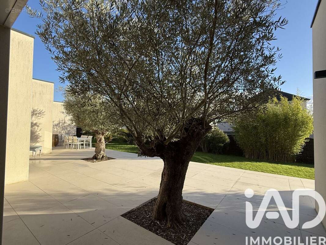 Photo 2 - Maison à SAINT-CYR-SUR-LOIRE