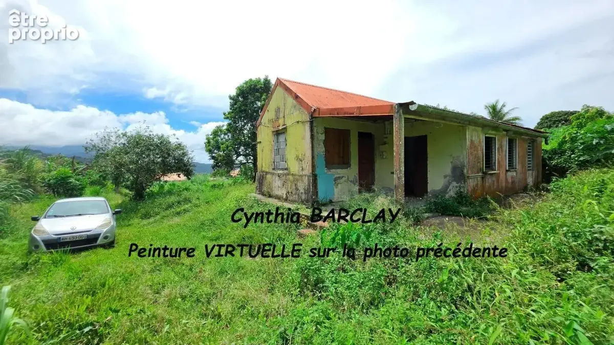 Terrain 1 942 m² à vendre à Le Morne-Rouge (97260) - photo 6