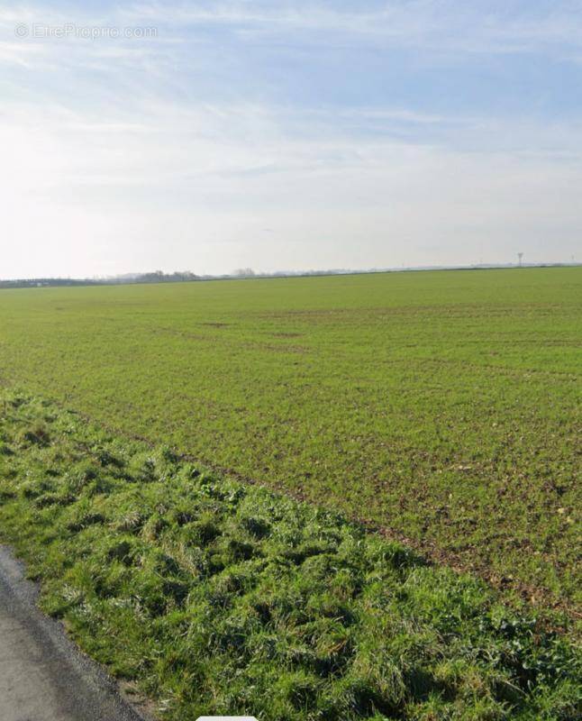 Terrain à VILLEDOUX