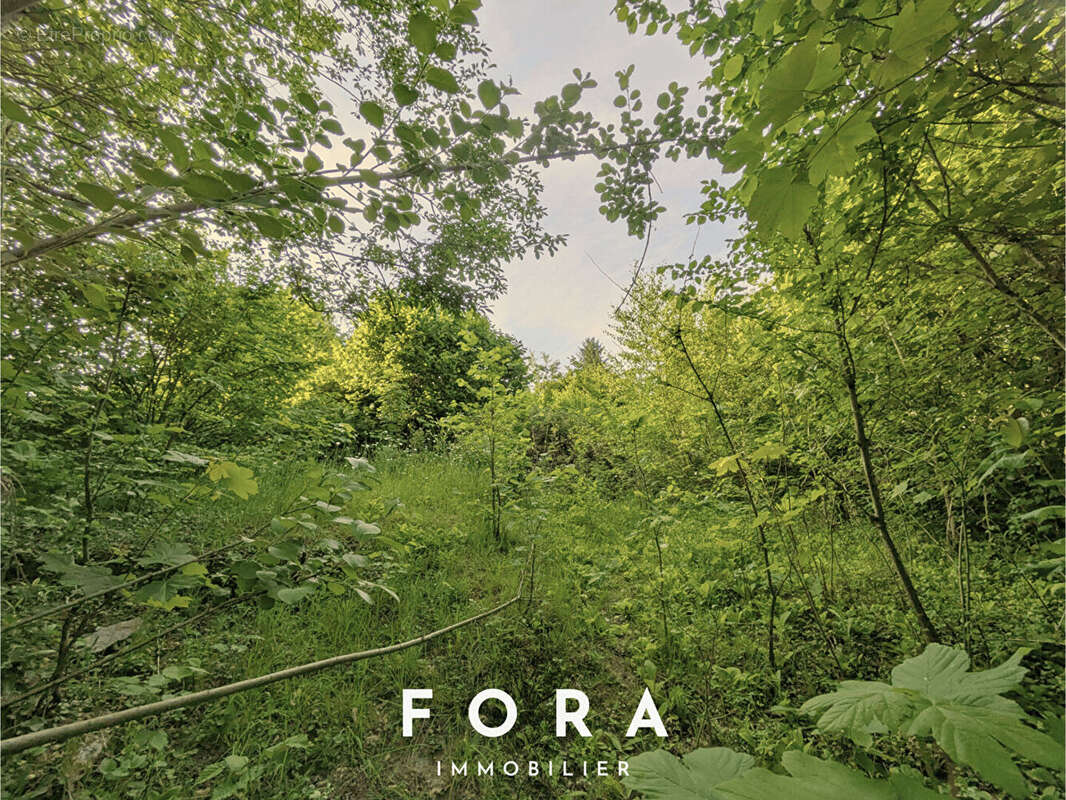 Maison à CONDE-SUR-NOIREAU