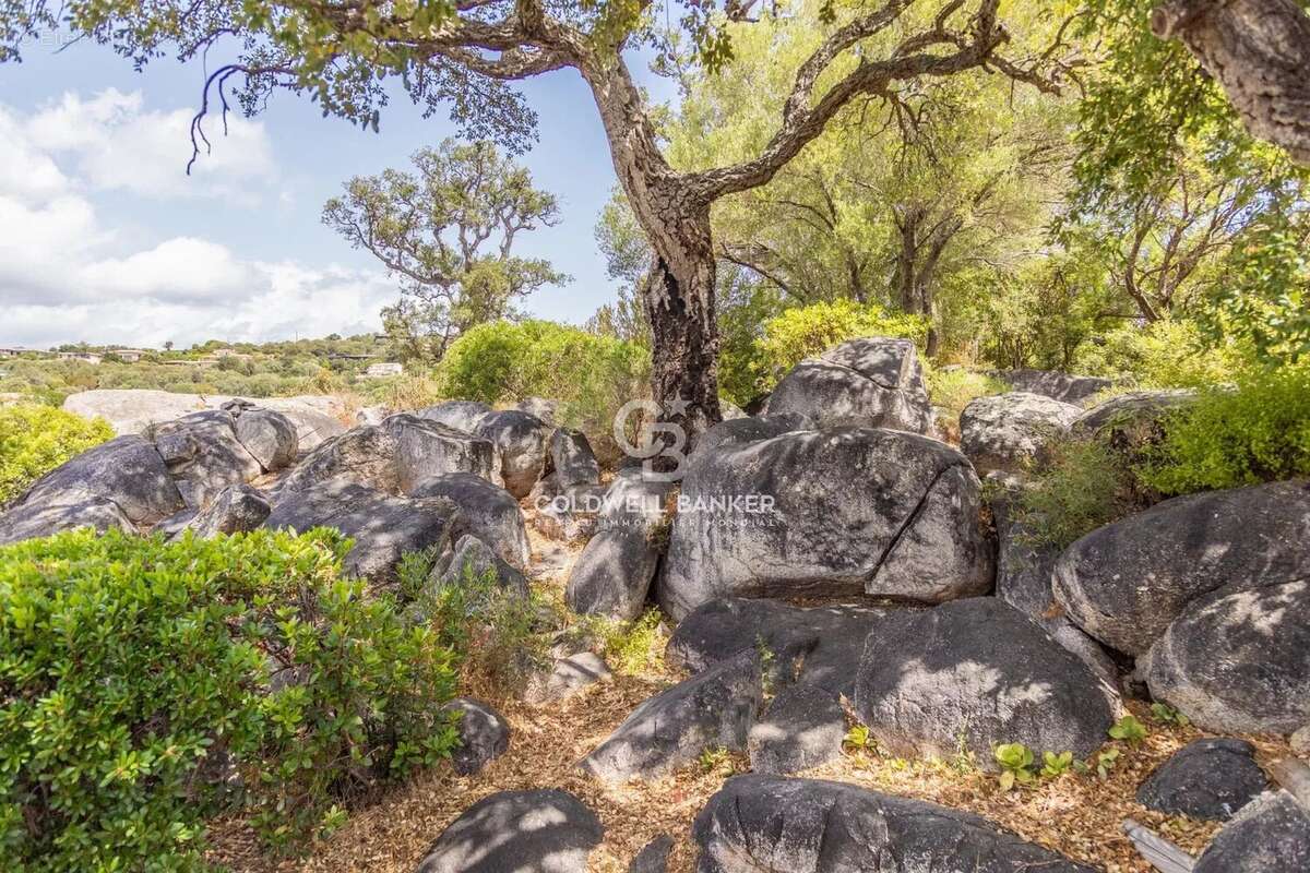 Maison à PORTO-VECCHIO