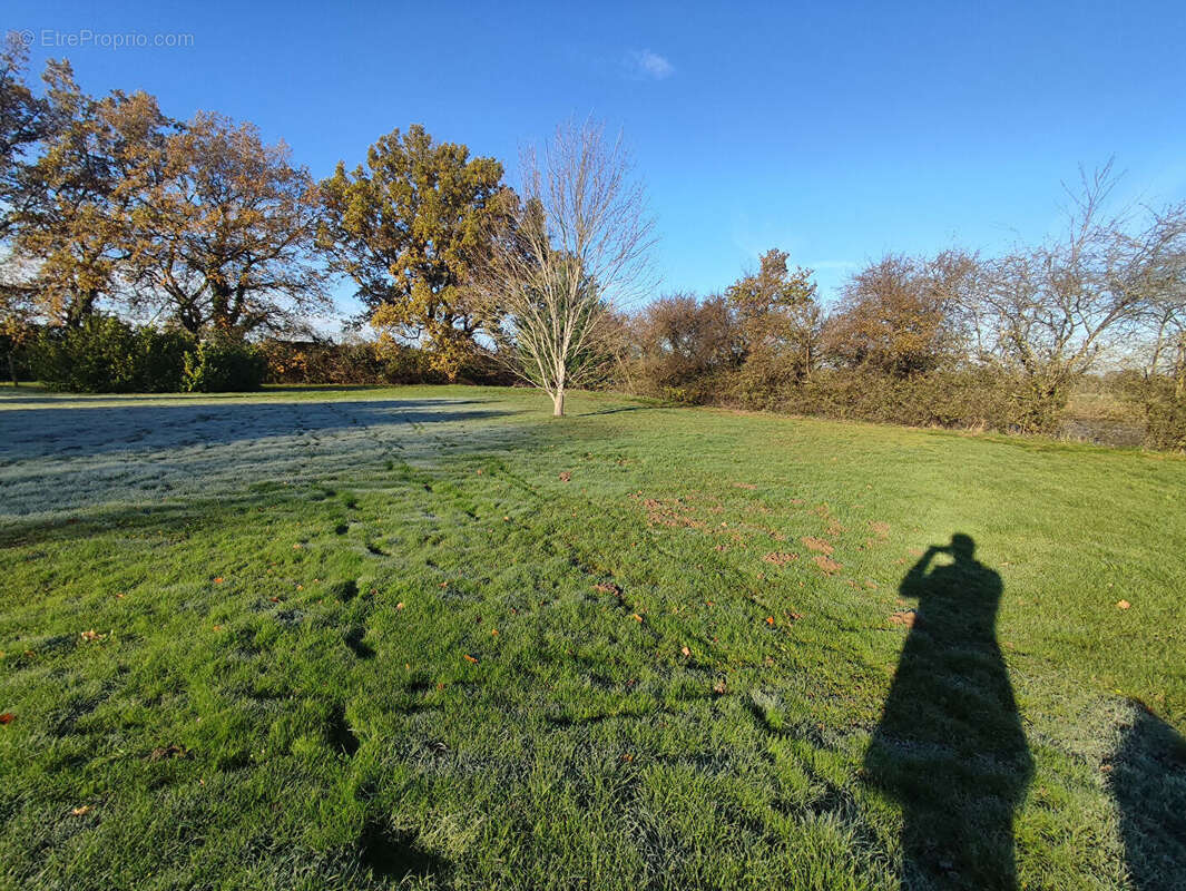 Terrain à VILLARS-LES-DOMBES