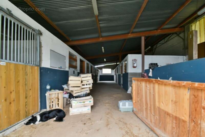 Maison à VALLON-EN-SULLY