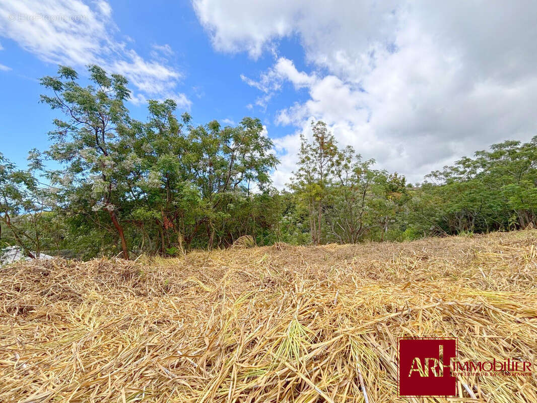 Terrain à SAINT-PAUL