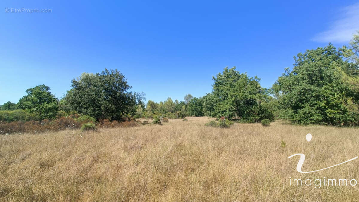 Terrain agricole avec un puits - photo 11