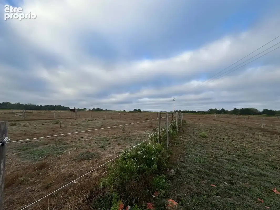 Terrain agricole avec petite ecurie - photo 10
