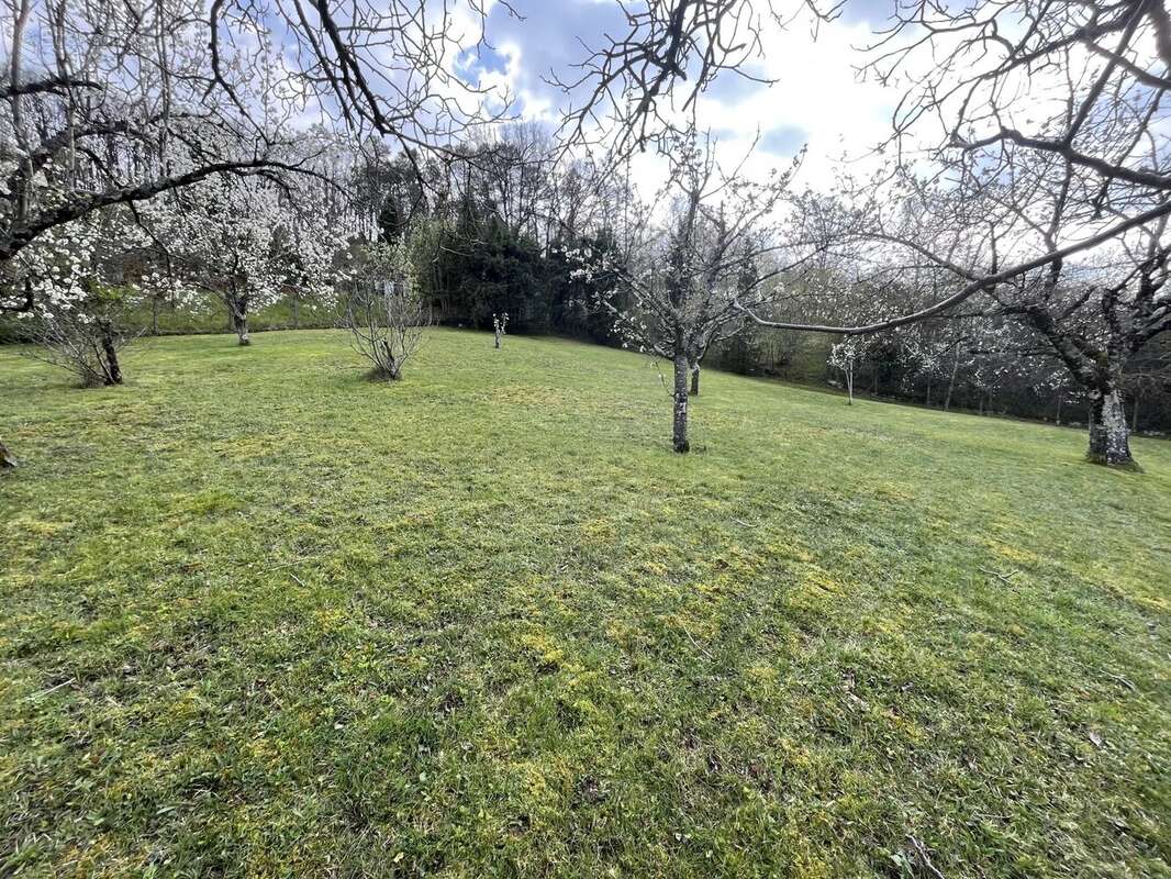 Terrain à PUYGOUZON