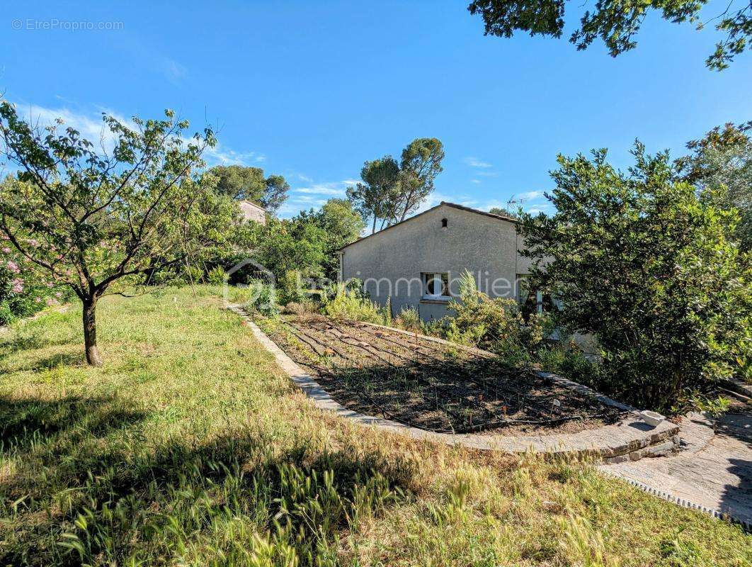 Maison à SAINT-CLEMENT-DE-RIVIERE