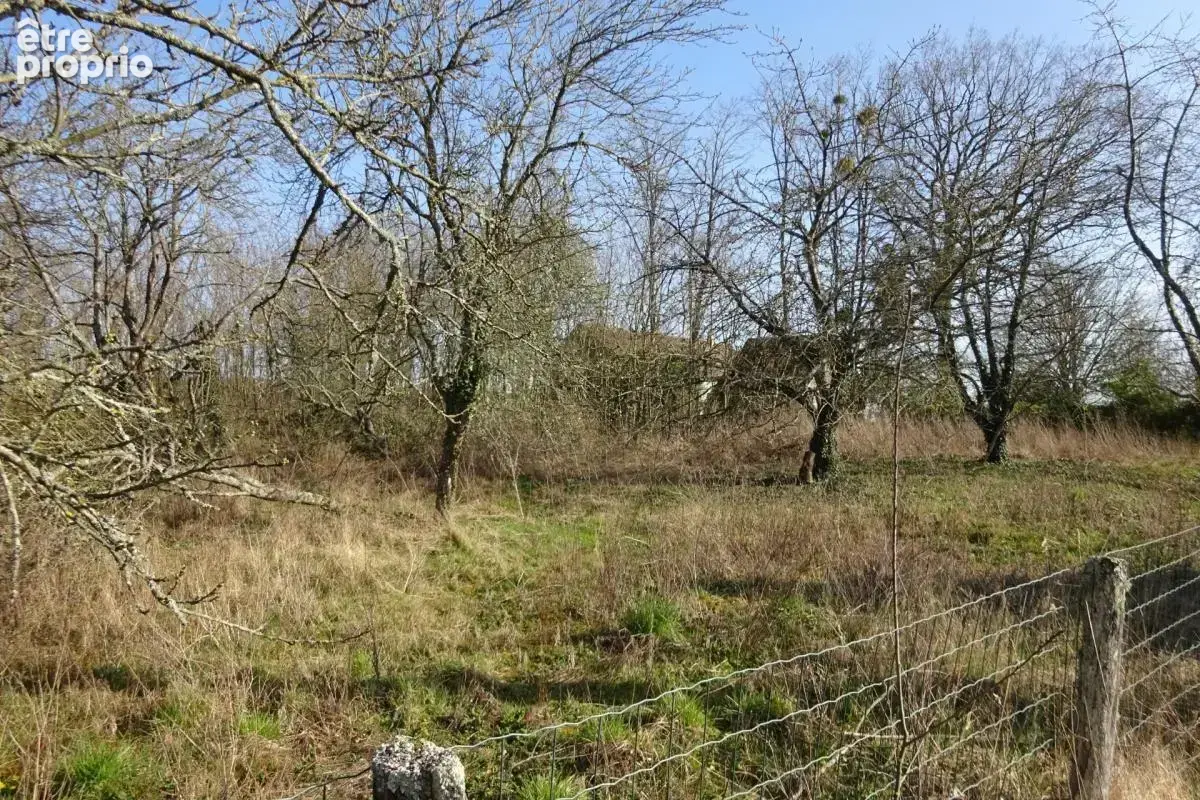 Terrain à vendre de 1 341,00 m² CHUELLES (45) - photo 4