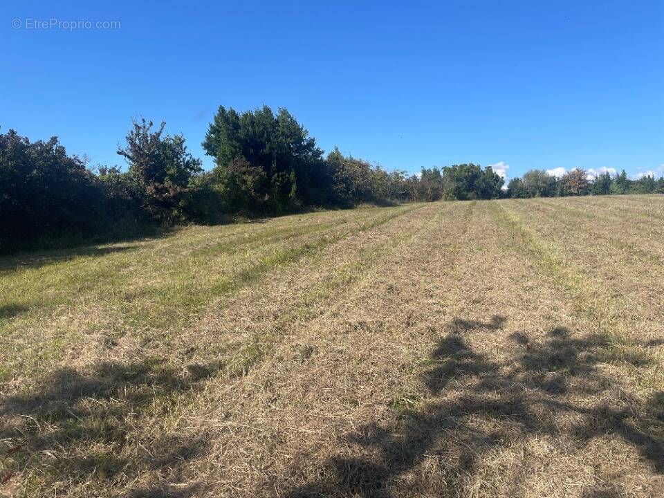 Terrain à SAINT-CIERS-DE-CANESSE