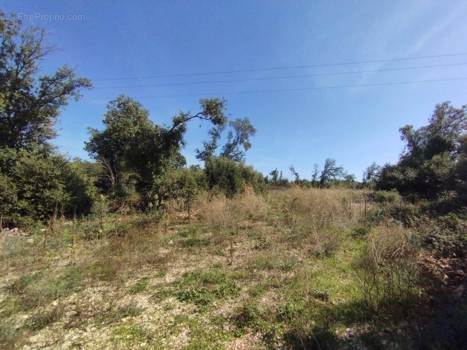 Terrain à ORGNAC-L'AVEN