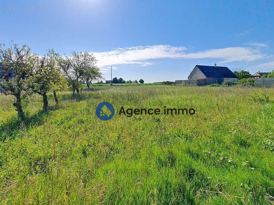 Terrain à CHATEAU-LA-VALLIERE