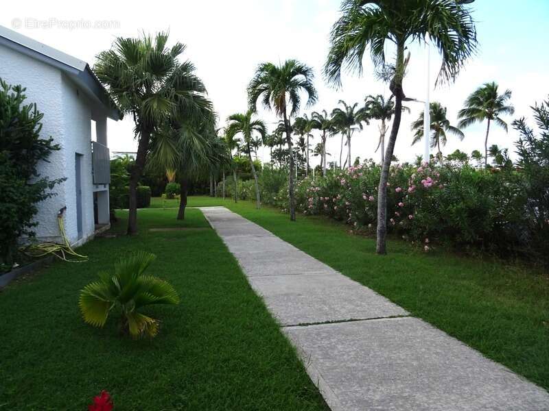 Appartement à SAINT-FRANCOIS
