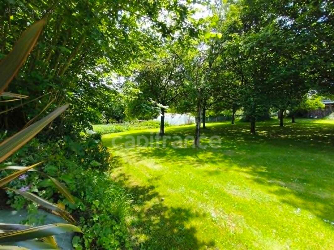 Bien rare sur le marché – un havre de paix aux portes de la forêt de huelgoat - photo 17