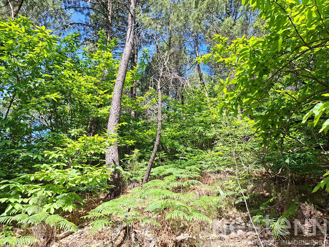 Terrain à SAINT-MARTIN-DE-BOUBAUX
