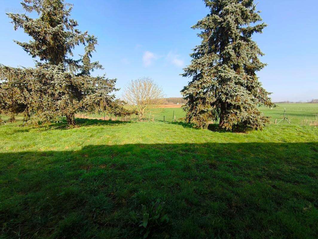 Maison à MONTMIRAIL