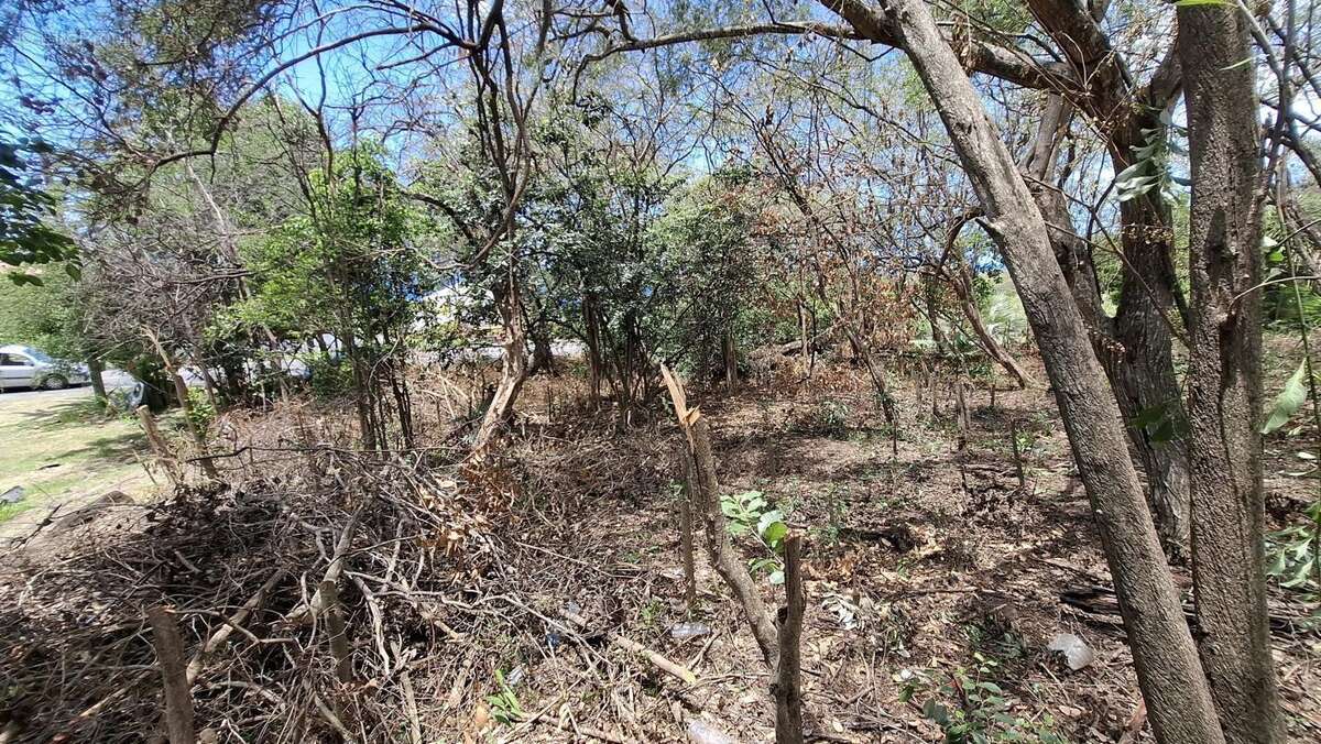 Terrain à BOUILLANTE