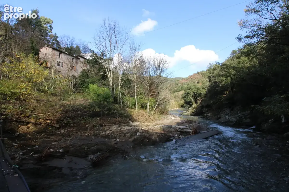 MAS 360 de volume + 25 hectares. - photo 29