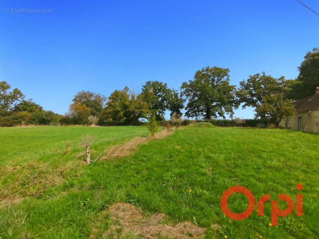 Maison à LURCY-LEVIS