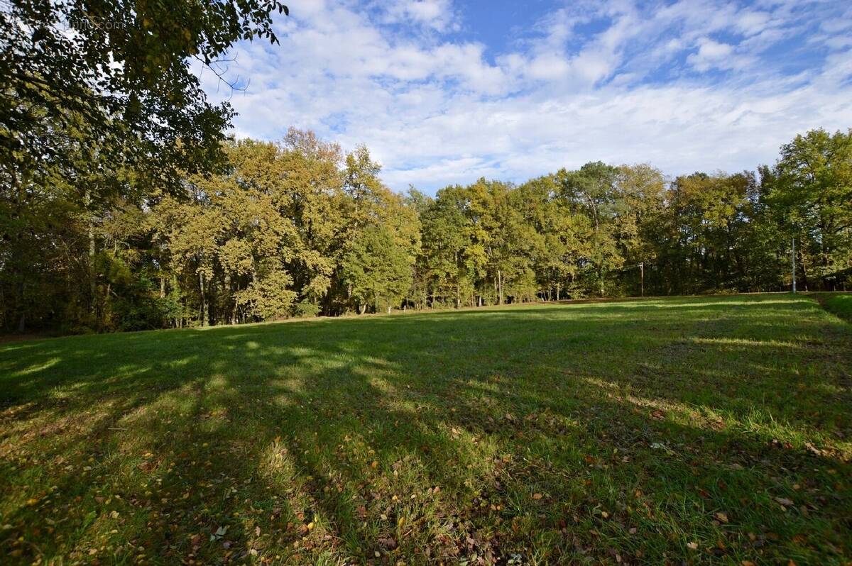 Terrain à SAVIGNAC-DE-DURAS
