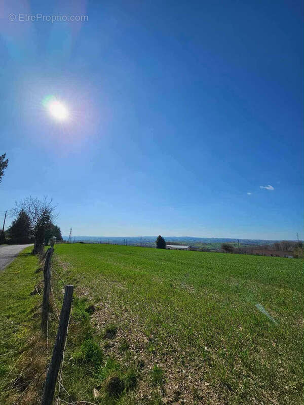 Terrain à BARAQUEVILLE