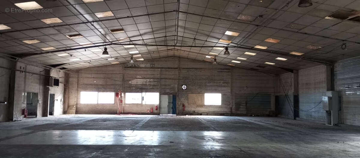 49 Candé, locaux d'activité de 3516 m2 à vendre - photo 2