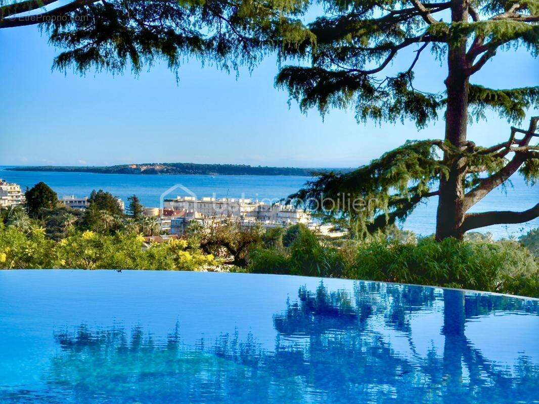 Cannes Croix-des-Gardes - Appartement 86m² - 3 pièces - Terrasse 43m² - vue mer - Piscine - Garage - photo 13