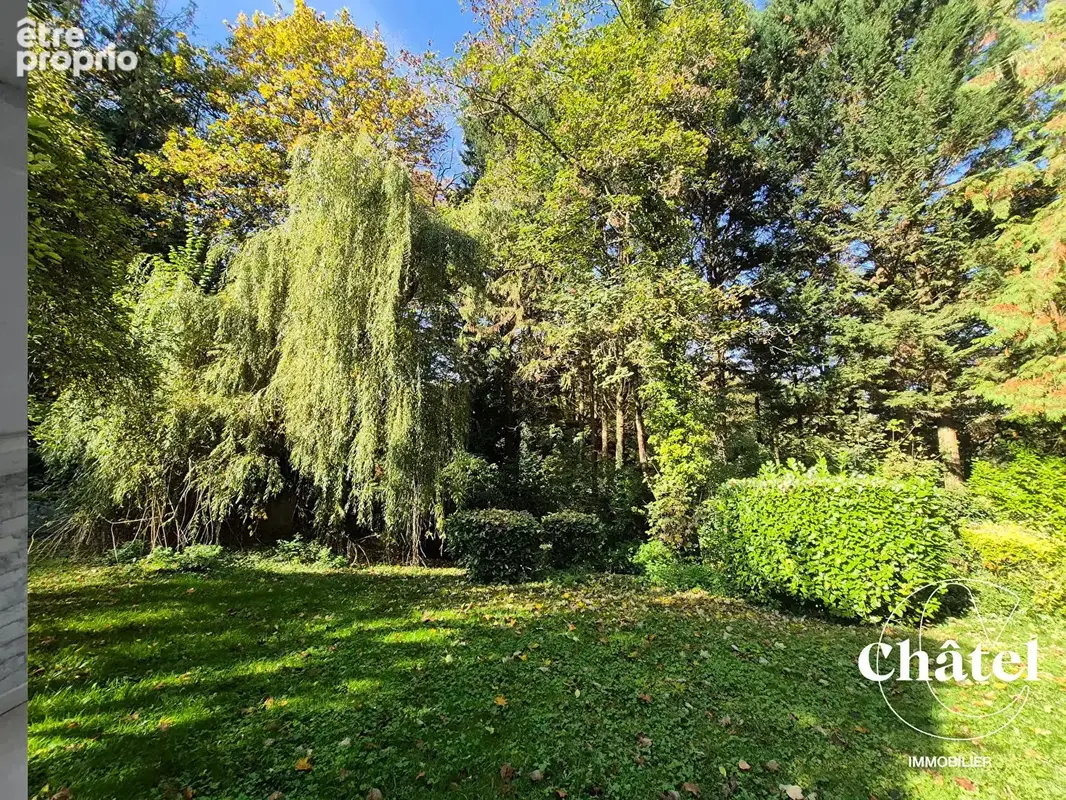 Maison en pierres 4 chambres - véranda- jardin arboré - photo 14