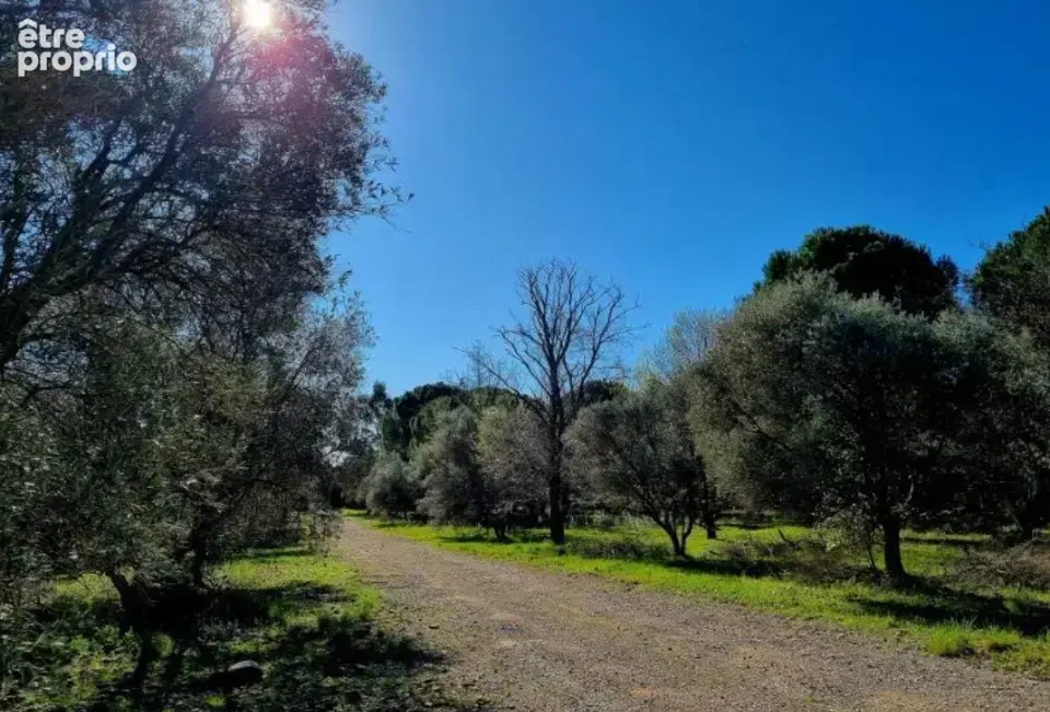 Photo Terrain à Ceyras au prix de 89 000€