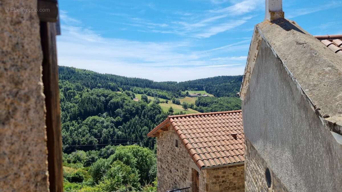 Le BESSAT 42660 Secteur Graix maison de village 2 chambres garage terrain non attenant 285m² - photo 8