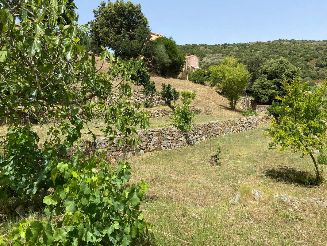 CORSE (20) commune d'ALATA : A vendre magnifique terrain à bâtir, viabilisé - photo 4