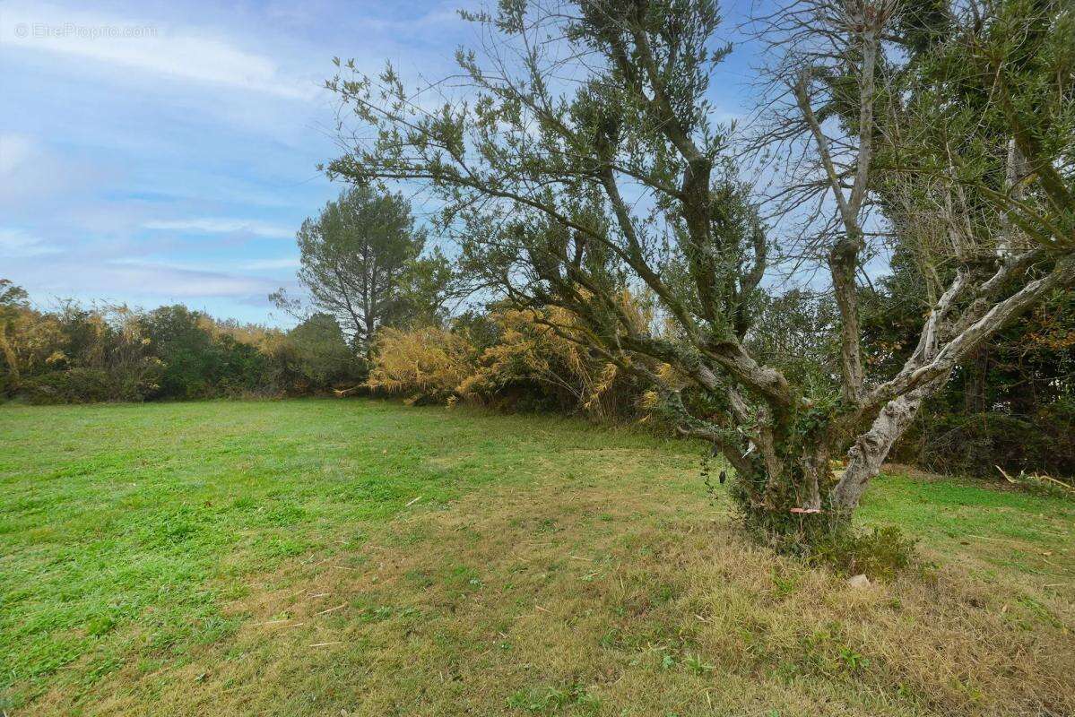 Maison à CHATEAURENARD