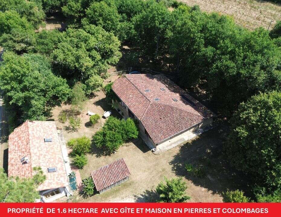 #gîte #landes #maison #propriété #écologie #propriété - Maison à LABASTIDE-D'ARMAGNAC