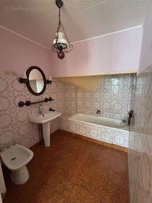 Ensemble immobilier deux maisons indépendantes vaudelnay  8 kms de montreuil-bellay - photo 10