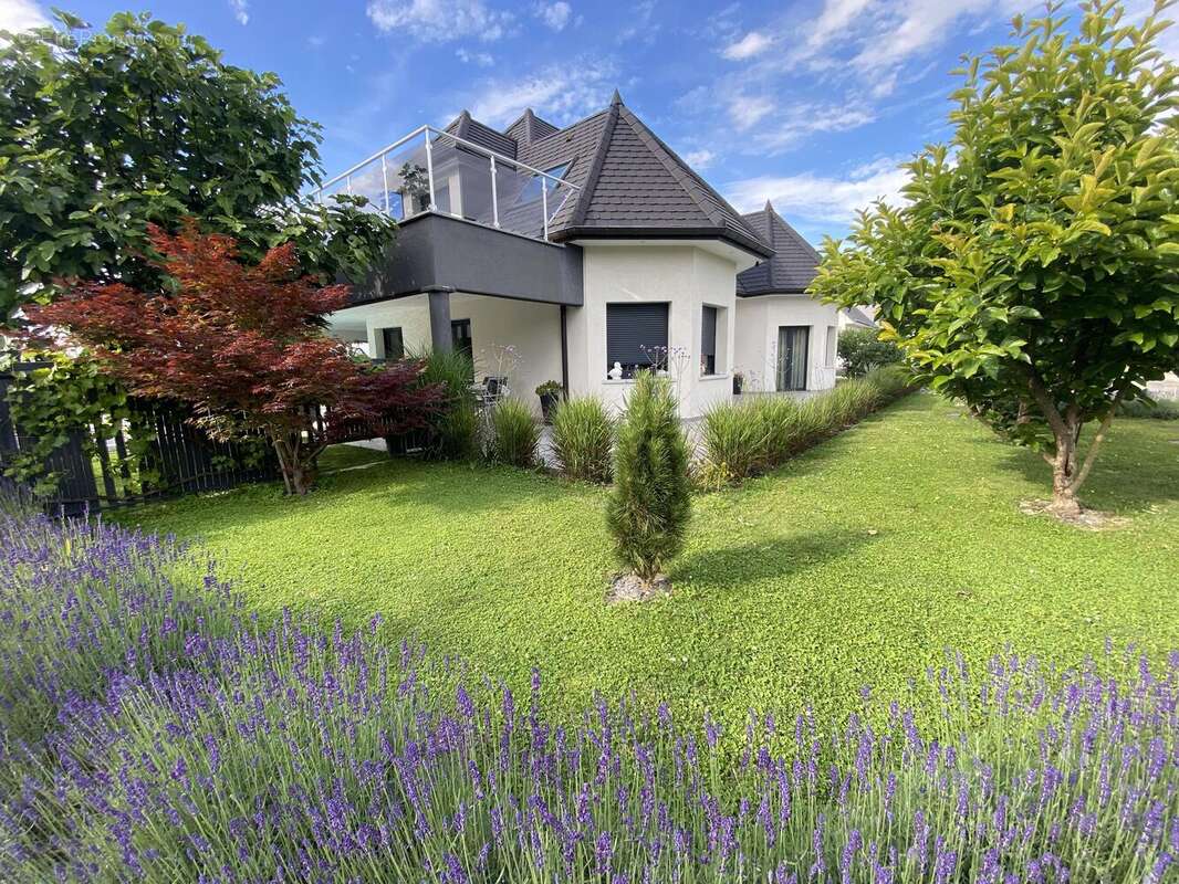 Maison à VILLAGE-NEUF