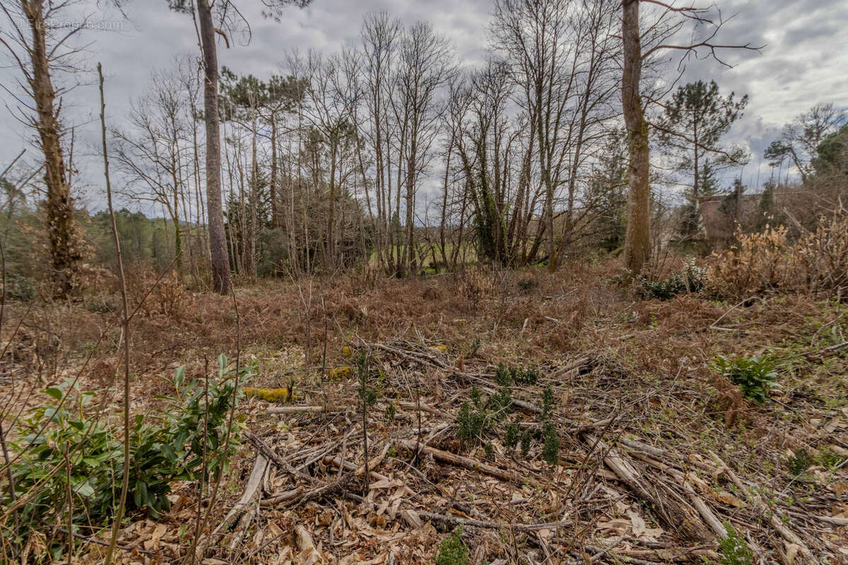 Terrain à CARSAC-AILLAC