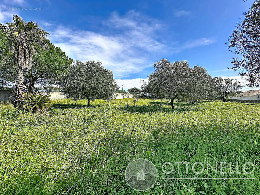 Terrain à ROQUEBRUNE-SUR-ARGENS