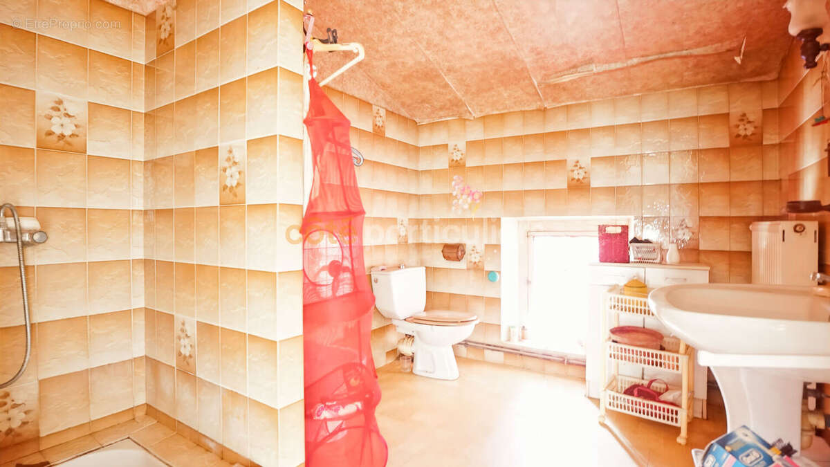 Maison Albi 5 pièce(s) 127.35 m² 1325 m² de terrain garage et dépendance - photo 9