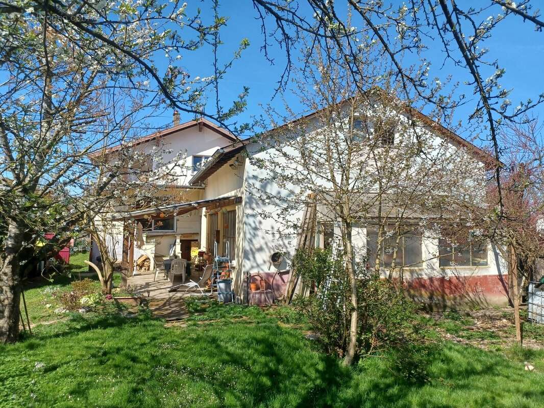 Maison à DANNEMARIE