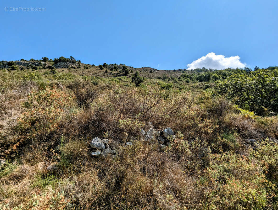 Terrain de 68490 m2 NON CONSTRUCTIBLE, Vence 06140 - photo 10