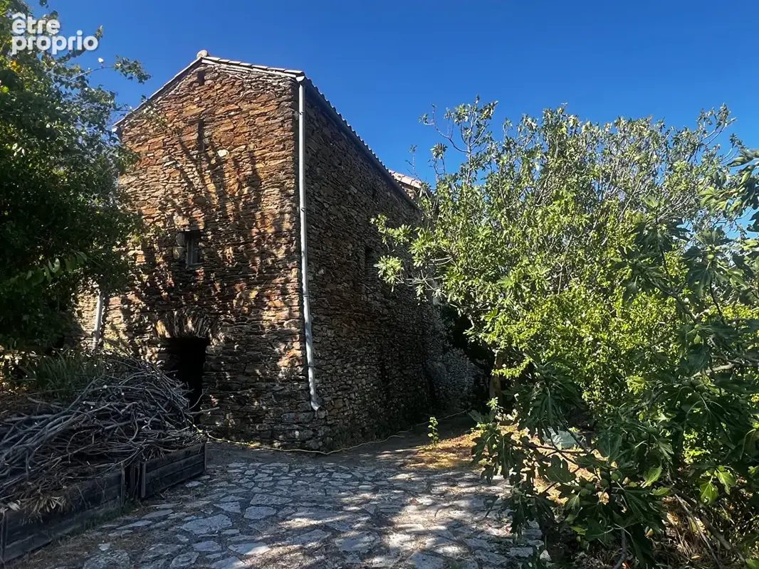Maison en Pierre avec magnifique vue sur les cévennes - photo 3