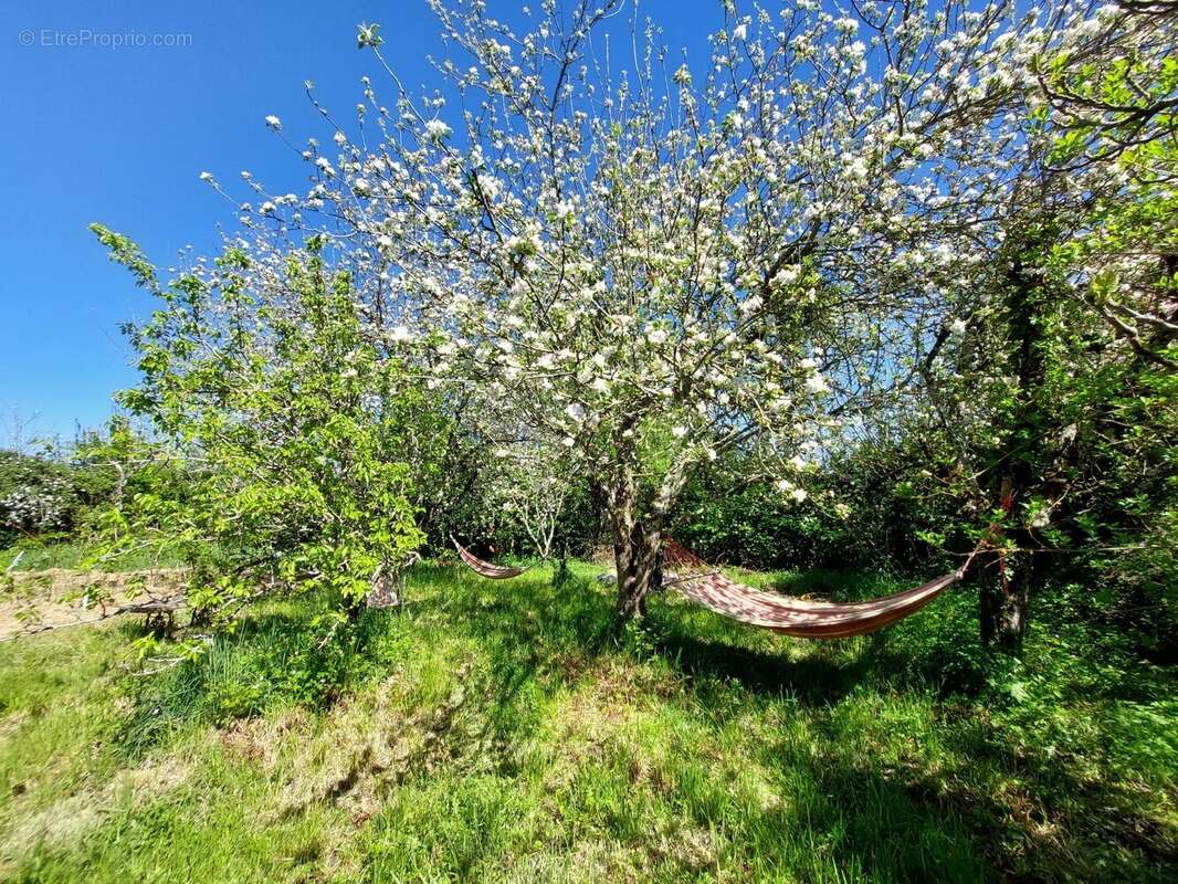 Maison à JOUQUEVIEL