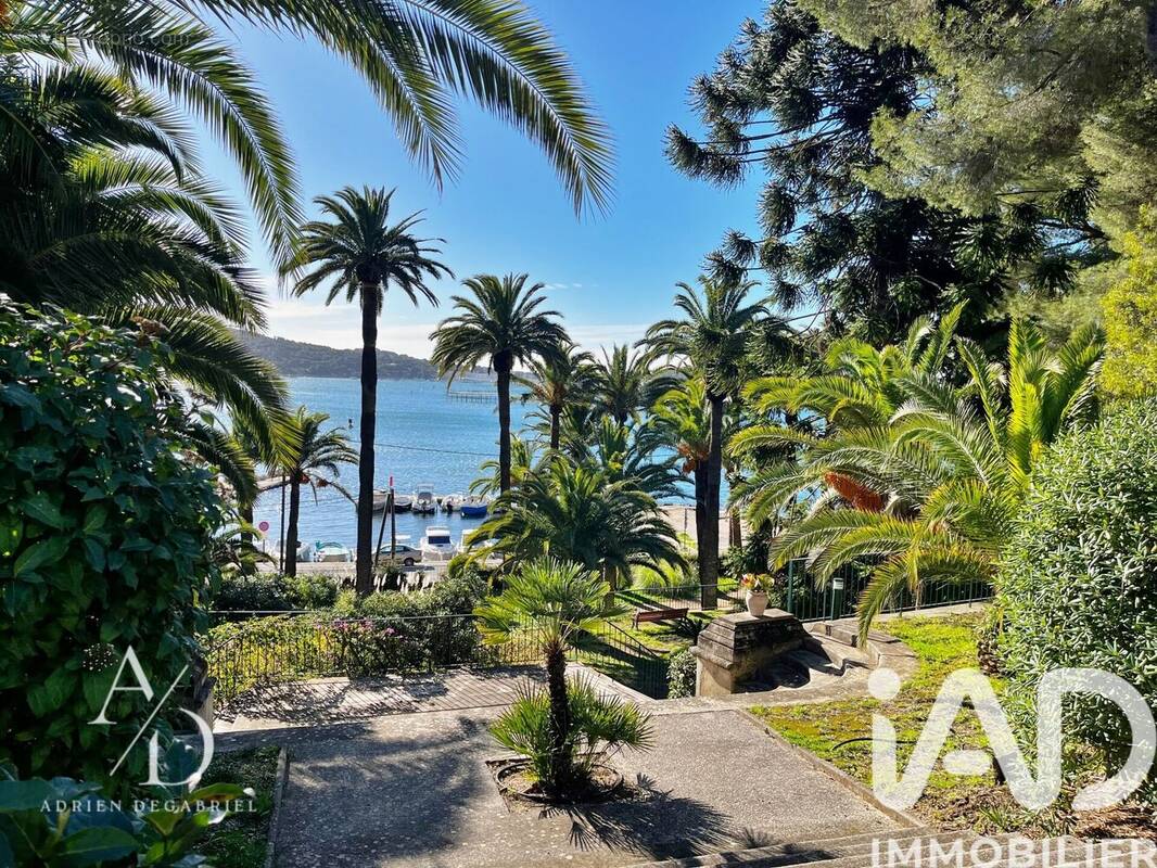 Photo 1 - Appartement à LA SEYNE-SUR-MER