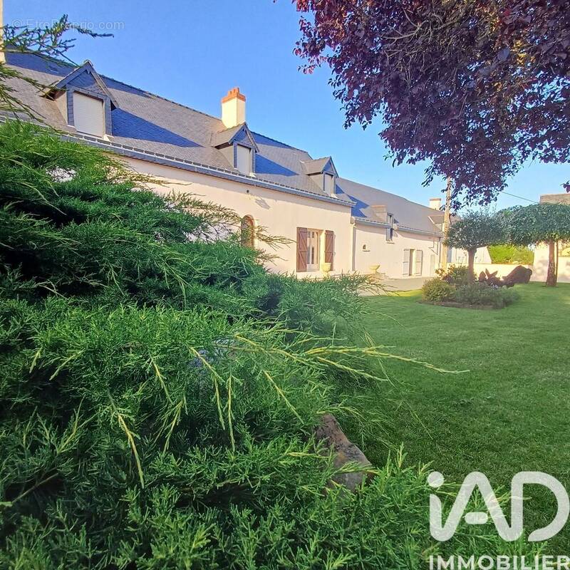 Photo 1 - Maison à SAINT-GEORGES-SUR-LOIRE