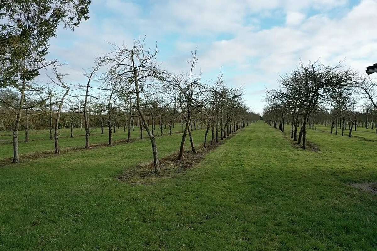 Maison à SAINTE-MARGUERITE-DE-VIETTE