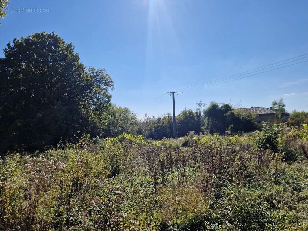 Terrain à SARREGUEMINES