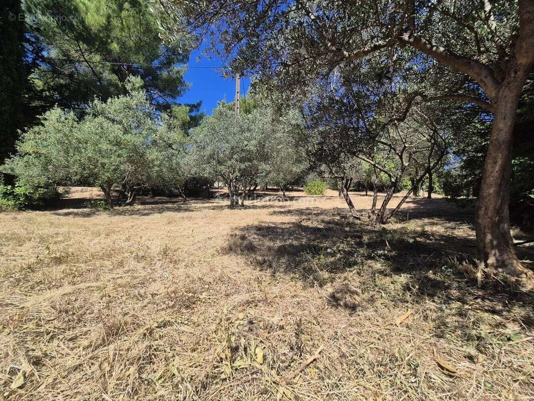 Vente Terrain Draguignan(83300) 145 000ï¿œ - photo 3