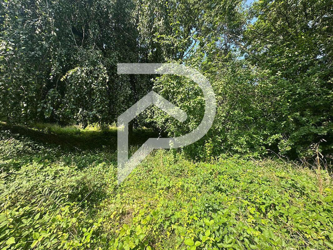 Terrain Montge En Goele 665 m2 - photo 2